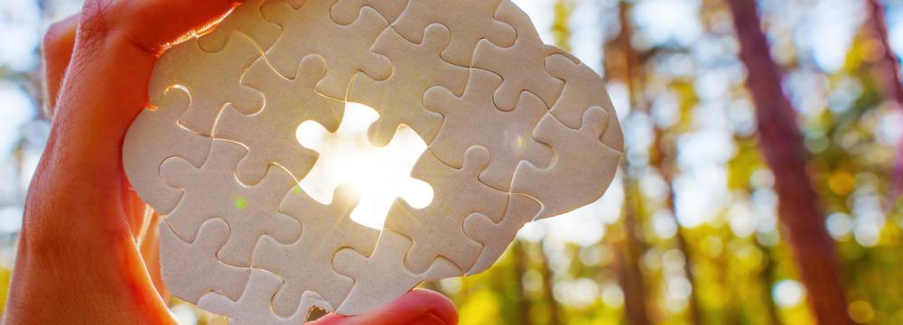 A hand holding a brain-shaped puzzle piece with a missing middle section, glowing in sunlight with trees in the background.